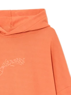 Online Pomarańczowa bluza z kapturem Bluzy